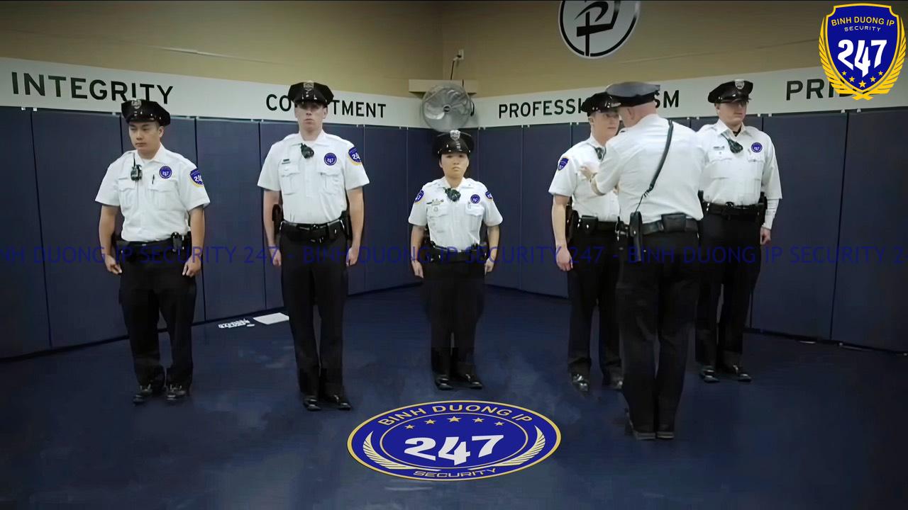 247BDIPSS - TTTFIC Group